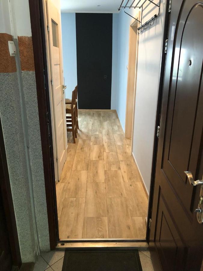 Zwirki I Wigury 38 Bydgoszcz